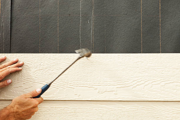 Affordable Siding Repair and Maintenance Services in Flora, IN